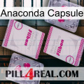 Anaconda Capsule 33